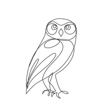 Owl Outline Icon And Emblem