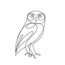 Owl Outline Free Stock Photo Public Domain Pictures