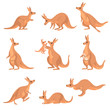 Cute Brown Kangaroo Set, Wallaby Australian Animal Character in Different Poses Vector Illustration