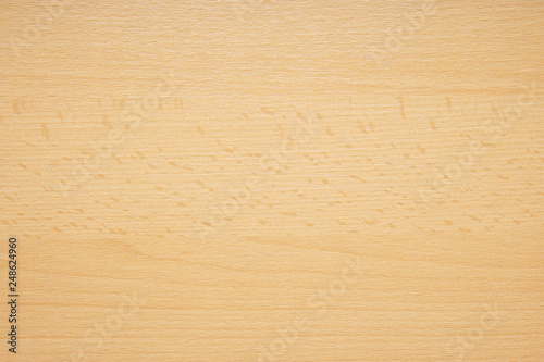Fotografía beechwood or beech wood background texture pattern