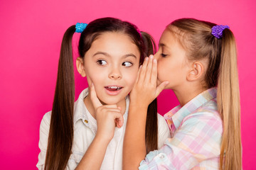 Poster - Close up photo two small little age girls tell talk speak ear over novelty school homework pupils wearing casual jeans denim checkered plaid shirts isolated rose vivid vibrant bright background