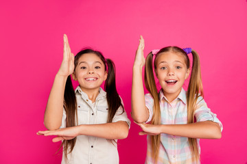 Sticker - Close up photo two small little age she her girls raise arms in school begging teacher answer theme wearing casual jeans denim checkered plaid shirts isolated rose vibrant vivid background