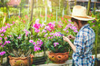 © SUPERMAO - The owner of an export orchid farm abroad Use the phone to contact the customer To receive orders