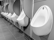 Row Of Shiny White Porcelain Urinals With Purple Medium Density Fibre Board (MDF) Fascia And Stall Separators In The Gentlemen's Toilets At An Events Venue 