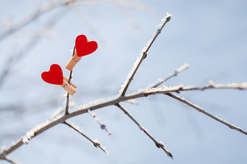 two decorative wooden red hearts-clothespins on a snow-covered tree branch on a Sunny winter day.for Valentine's day, wedding, love message