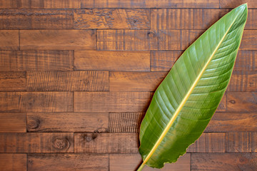 Wall Mural - leaf on wooden background