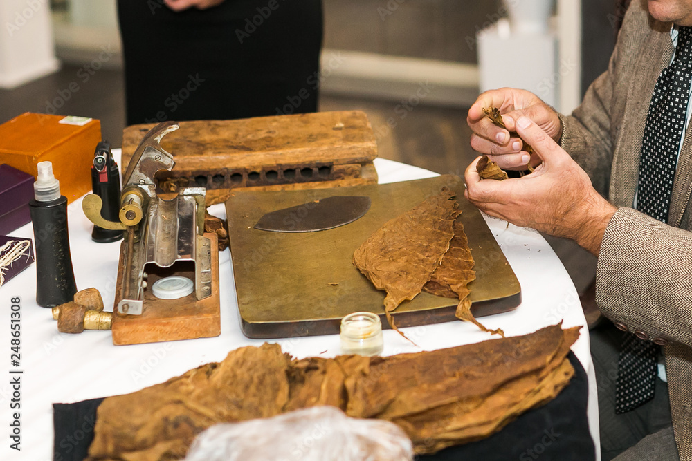 Fotografie Process of making traditional cigars from tobacco leaves ...