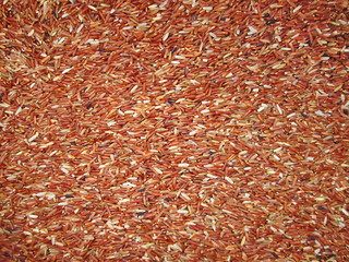 Red rice close-up in the top view of healthy food. Surface and texture for the background