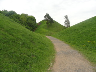 On the hill two pine trees in Kernave