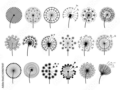 Dandelion silhouettes Fototapeta