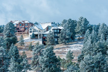 Large Family Homes In Luxury Development With Snow Spruce Trees, Rocky Mountains, Colorado, USA