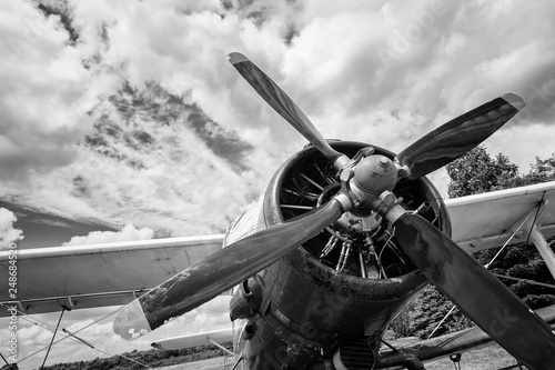 Tela Close up of old airplane in black and white