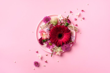 Gerbera and spring flowers on pink plate over punchy pastel background. Top view, flat lay. Square crop with copy space. Summer concept