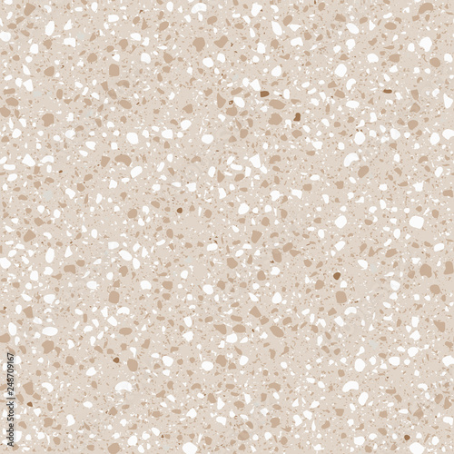The texture of the classic Italian type of floor in the Venetian style consis...
