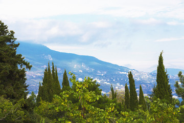 Wall Mural - Landscape in the Park of the Livadia Palace