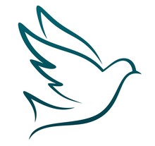 Logo Of Flying Bird.