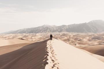 Alone In The Desert 