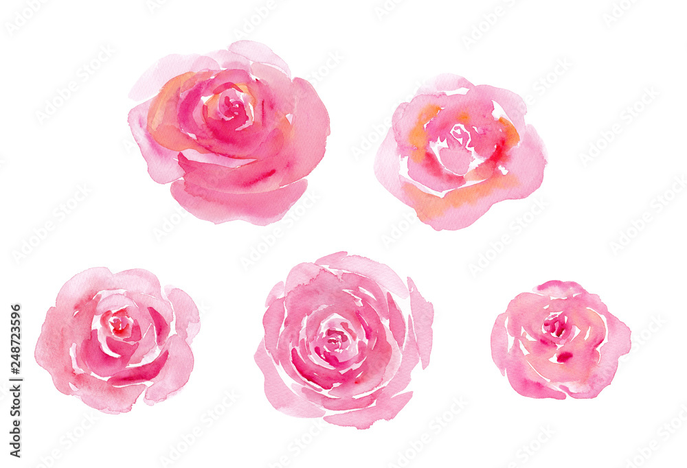 ピンクの薔薇。水彩イラスト。 Stock Illustration | Adobe Stock