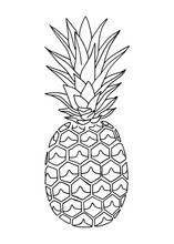 Pineapple Doodle, Hand Drawn With Brush Pen