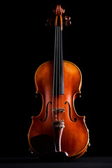 Wall Mural - retro violin on a black background