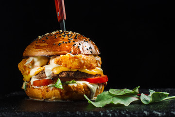 Wall Mural - Hamburger with two types of meat, chicken and beef.