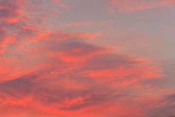 Wall Mural - Colorful with red, orange and blue dramatic sky on the clouds for abstract background. Romantic sunset background with beautiful blue, red and yellow clouds.