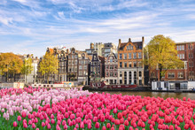 Amsterdam Netherlands, City Skyline Dutch House At Canal Waterfront With Spring Tulip Flower