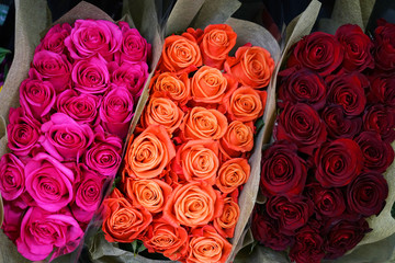 Fotomurales - bunches of colorful roses