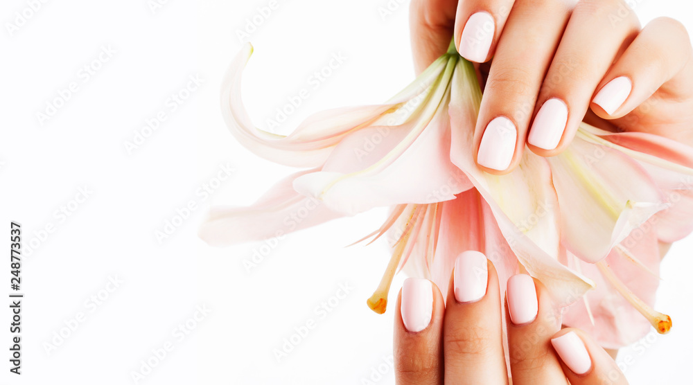 beauty delicate hands with manicure holding flower lily close up isolated - obrazy, fototapety, plakaty 