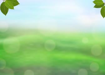 Wall Mural - nature green background with fresh leaves on a blurred background of grass and sky and bokeh effect.