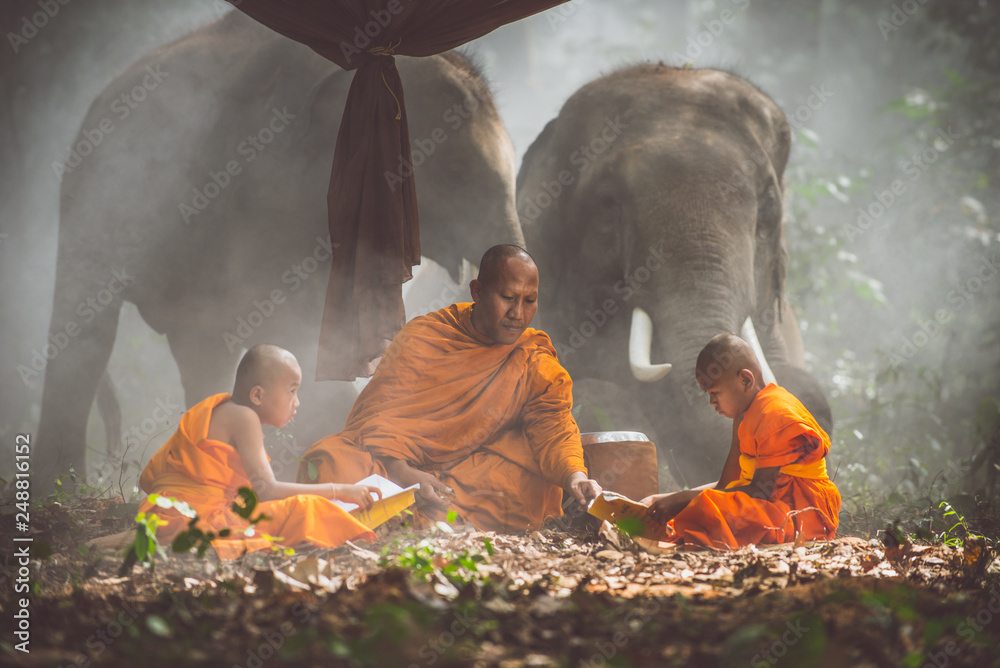 Thai monks studying in the jungle with elephants - obrazy, fototapety, plakaty 