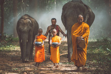 Thai Monks Walking In The Jungle With Elephants