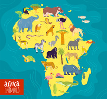 Vector Flat Illustration Of Africa Continent, Animals And Plants: Elephant, Rhino, Monkey, Zebra, Crocodile, Flamingo, Turtle And Palm Tree, Cactus Etc. Good For Infographics, Children Book, Banners.
