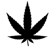 Cannabis Or Marijuana Leaf Icon