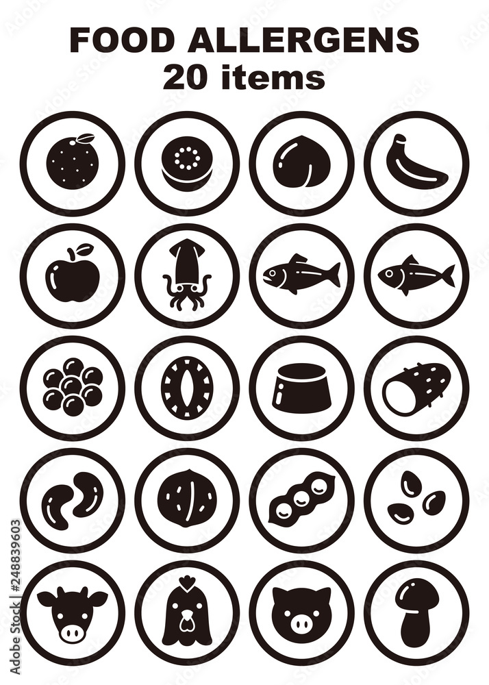 食物アレルギー誘発物質 品目 アイコンイラスト Poster Michikodesign