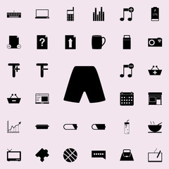 Poster - shorts icon. web icons universal set for web and mobile on white background
