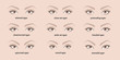 5 basic eyebrow shapes. Various types of eyebrows. Classic type and other. Vector illustration eyebrows with eyes