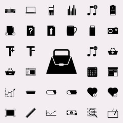 Poster - ladies handbag icon. web icons universal set for web and mobile on white background