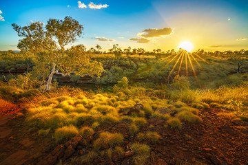 Sticker - sun at sunset over joffre gorge in karijini national park, western australia 1