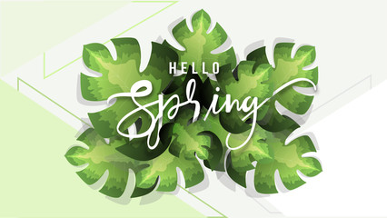 Wall Mural - Hello Spring text on tropical leaves decorated background. Can be used as greeting card design.