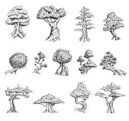 Set of hand drawn sketch old tree or decorative japan bonsai tree isolated on white background. Vector vintage retro illustration.