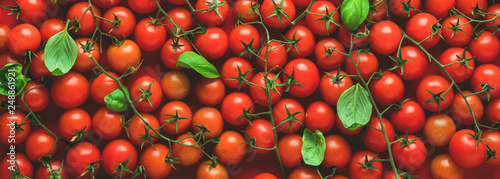 Cuadros en Lienzo Cherry Tomaten hintergrund panoramma