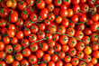 Cherry Tomaten hintergrund panoramma
