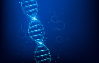 wireframe dna molecules structure mesh low poly consisting of points, lines, and shapes on dark blue