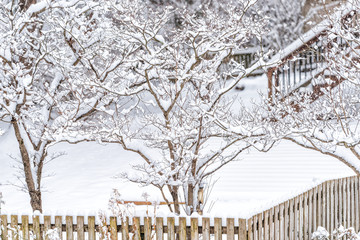 Wall Mural - Wooden fence by house home with lawn covered in white snow and trees branches in backyard by house home with nobody and deck stairs