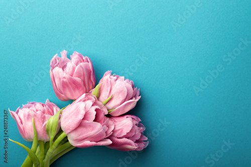 Pink tulips on turquoise background with copy space. Top view.
