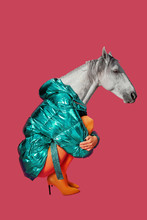 Contemporary Art Collage. Concept Woman With Horse Head.