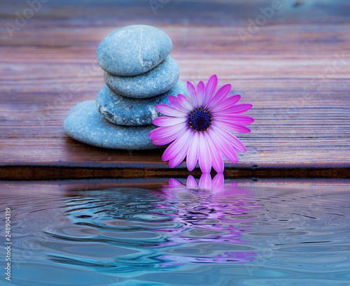 florpiedras y flor reflejadas en el agua