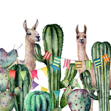 Watercolor Card With A Pair Of Llamas Peek Out Of The Cactus Bushes. Hand Painted Illustration With Animals, Floral And Flag Garland On White Background. For Design, Print, Fabric Or Background.