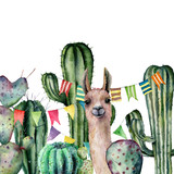 Watercolor card with llama looks out from the thickets of the cactus bushes. Hand painted illustration with floral and flag garland on white background. For design, print, fabric or background.